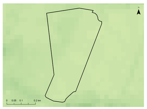 24 8950 3.jpg