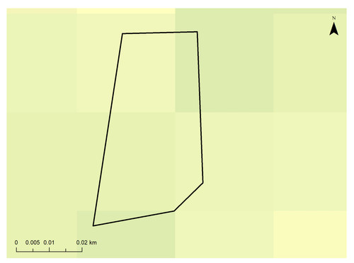 24 9947 5.jpg