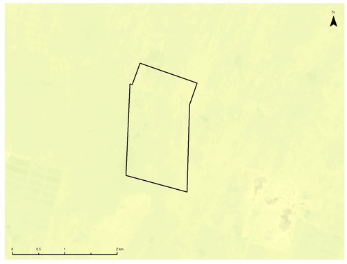 26 4171 4.jpg