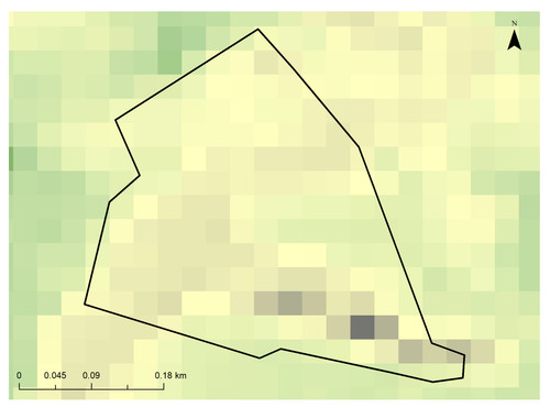 27 10053 3.jpg