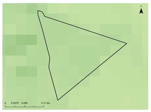 27 10135 2.jpg