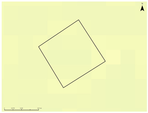 2 2349 9.jpg