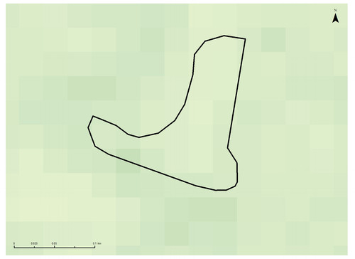 30 26553 5.jpg