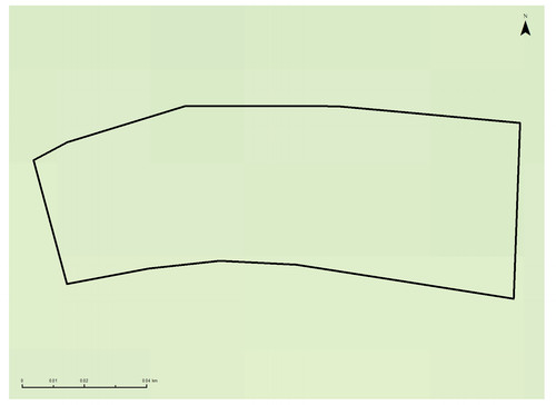30 10448 1.jpg