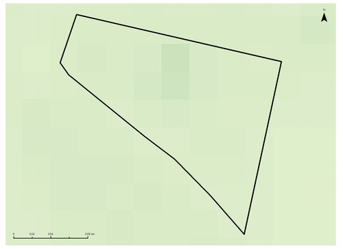 30 8634 7.jpg