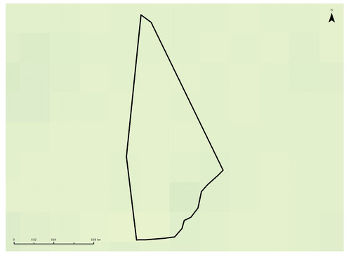 30 26555 3.jpg