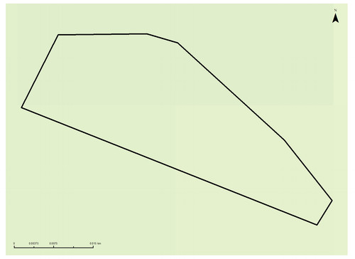 30 8747 0.jpg