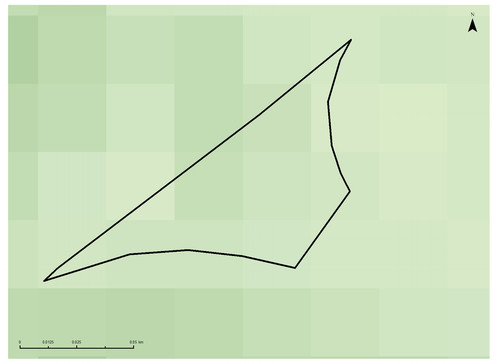 30 8755 0.jpg