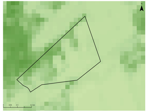 7 8460 1.jpg
