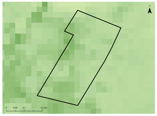 4 1221 5.jpg