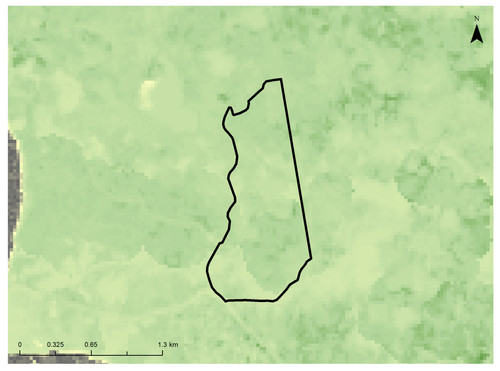4 3425 9.jpg