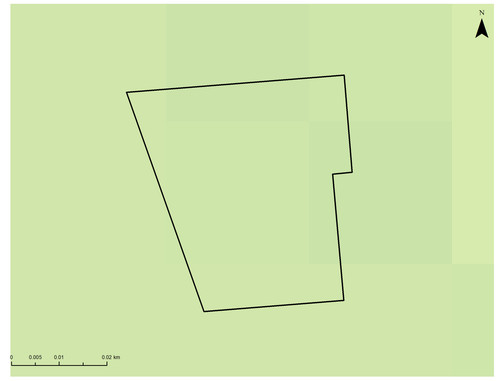 7 8395 4.jpg