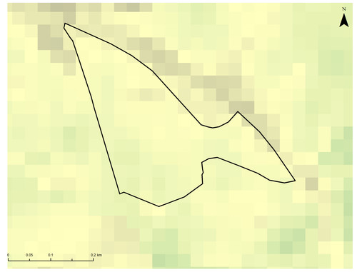 7 16325 0.jpg