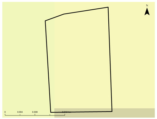 8 8568 6.jpg