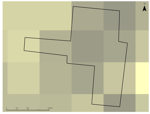 9 15145 4.jpg