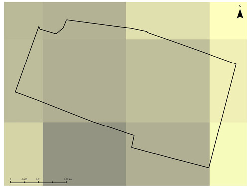 9 3140 0.jpg