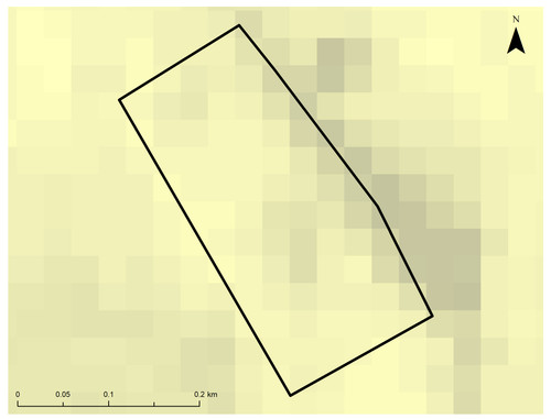 8 852 4.jpg