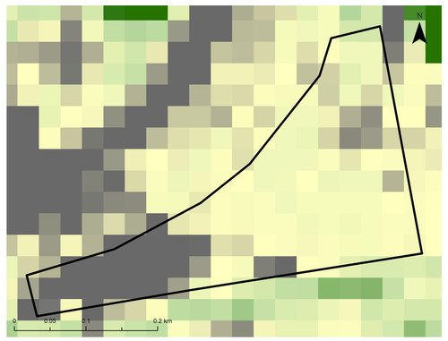 8 8913 9.jpg