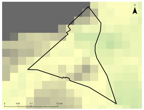 8 6445 2.jpg