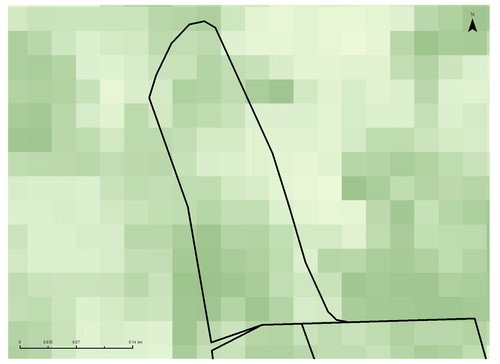 30 26585 8.jpg