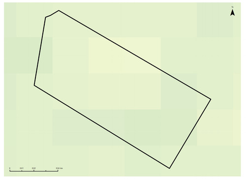 30 26562 4.jpg