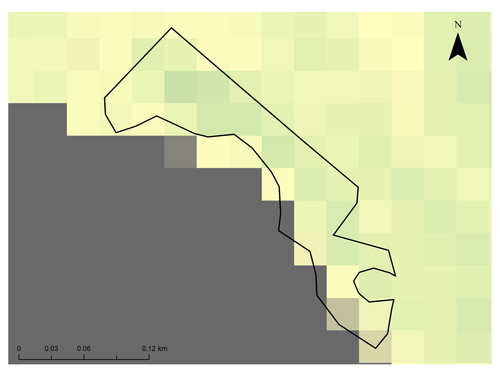 11 6644 0.jpg