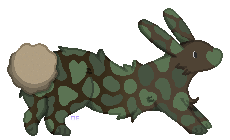 1000155614.png