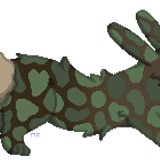 1000155614