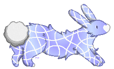 1000155619.png