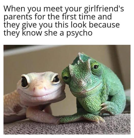 [Image: BgEofun.jpg]