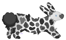 1000160183.png