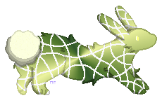 1000160184.png