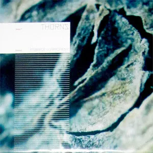 Cover Embrace / Fragment