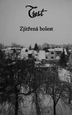 Cover Zjitřená bolest