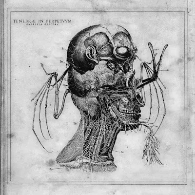 Cover Anorexia obscura