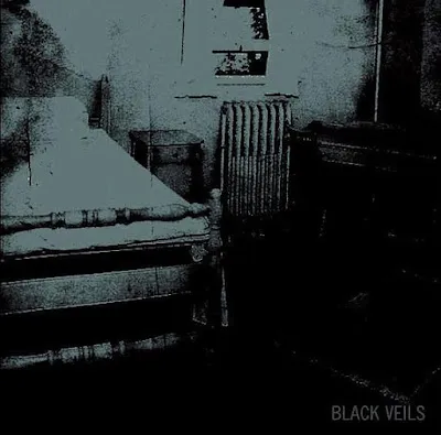 Cover Black Veils