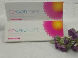 EZYGARD FORTE4.jpg