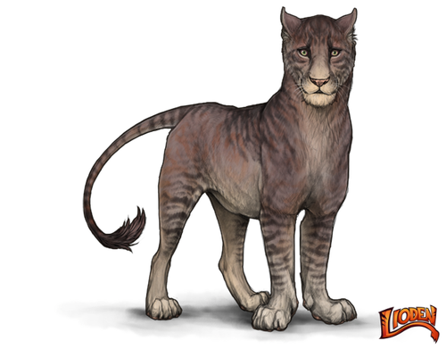 lioden wardrobe (3).png