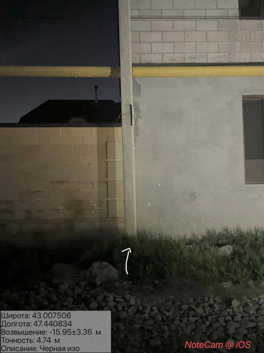 photo 3 2026 04 18 04 55 57.jpg