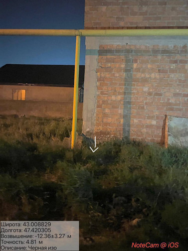 photo 24 2026 04 18 04 55 57.jpg