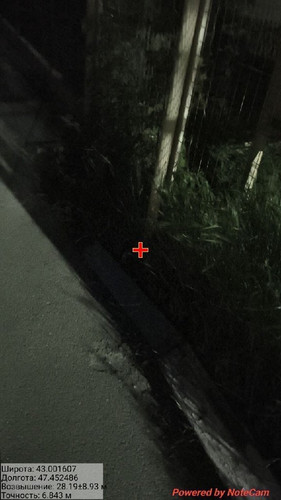 photo 5 2026 04 18 05 16 37.jpg