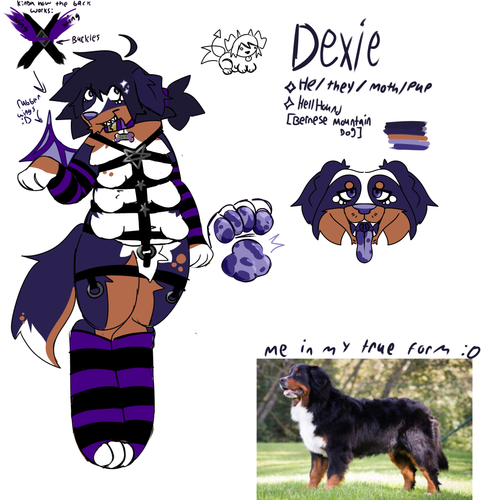 Untitled134 20260419194604.png