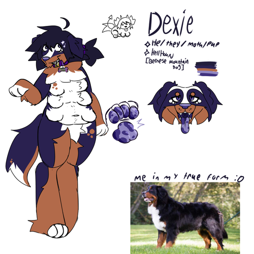 Untitled134 20260419194616.png