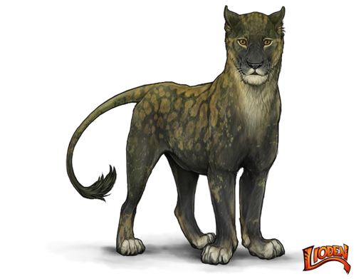 lioden wardrobe (1).png