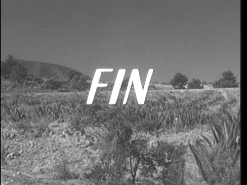 vlcsnap 00008.png