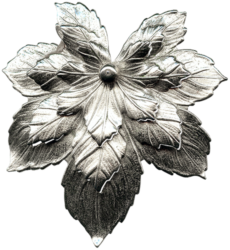 1 (61).png