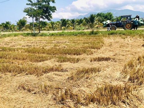 674712489 1513352993505702 357512617647038903 n