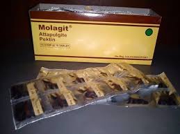 molagit4.jpg