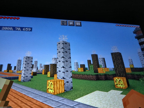 1000011936