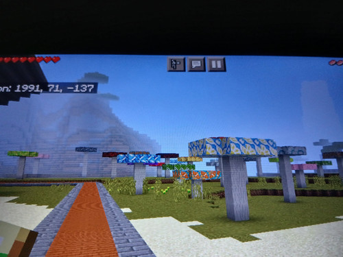 1000011939